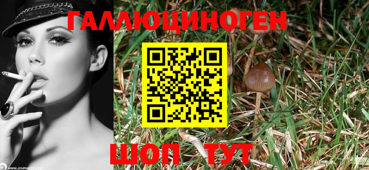 Галлюциногенные грибы Cubensis  Вход с VPN  Пушкино 